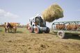 Bobcat представив семисоту серію 